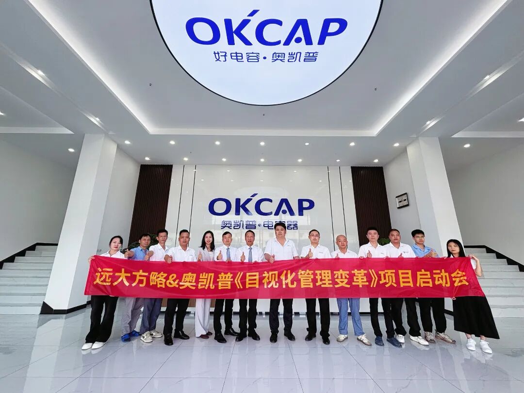 電子行業(yè) | 奧凱普攜手遠(yuǎn)大方略啟動《目視化管理》咨詢項目